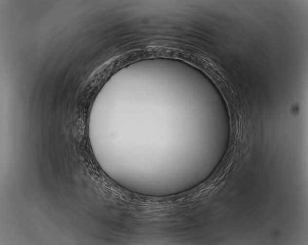 X0000116460821200912090925