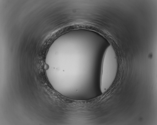 X0000116460822200912090925