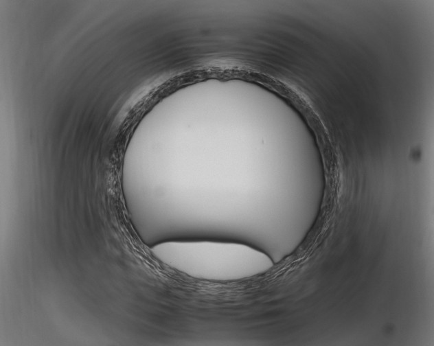 X0000116460823200912090925