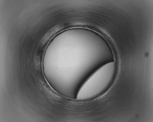 X0000116460825200912090925