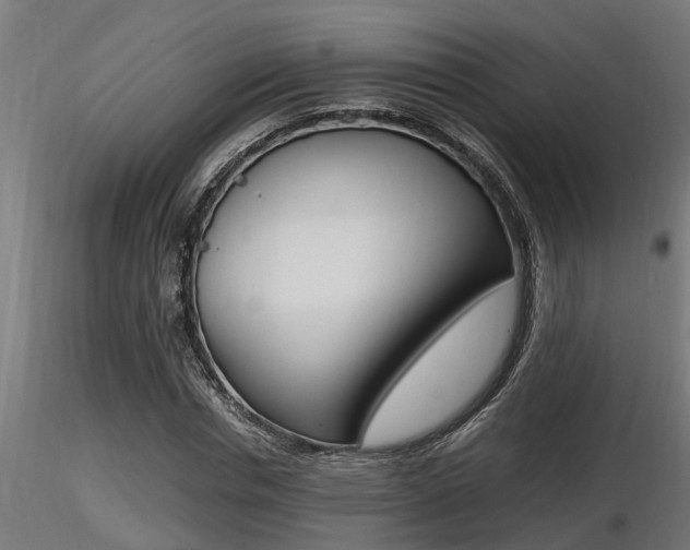 X0000116460826200912090925