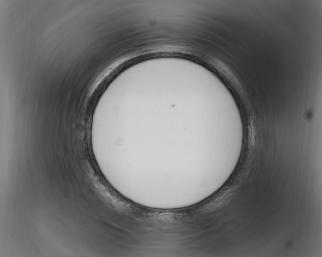X0000116460828200912090925