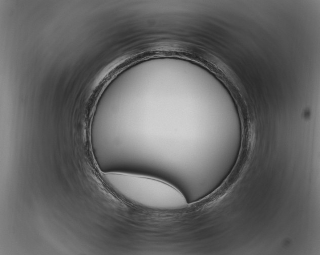 X0000116460829200912090925