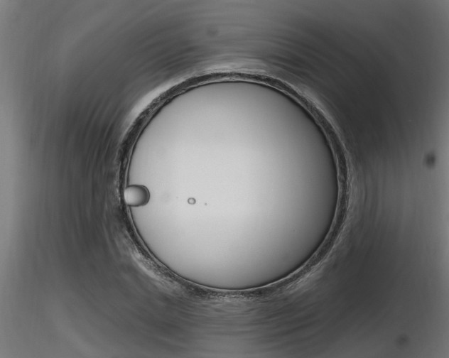 X0000116460830200912090925