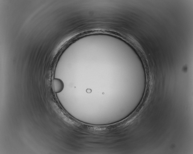 X0000116460831200912090925