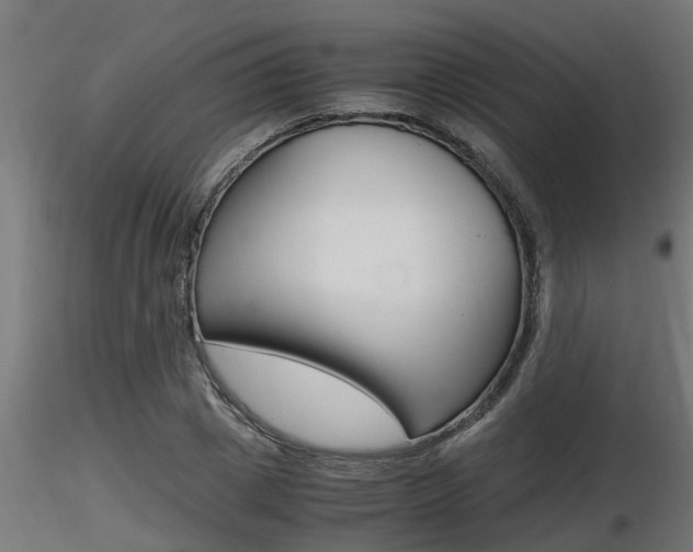 X0000116460833200912090925