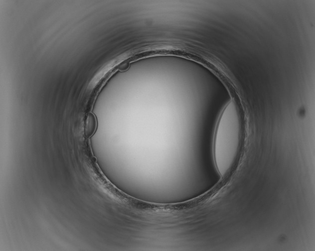 X0000116460834200912090925