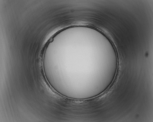 X0000116460835200912090925