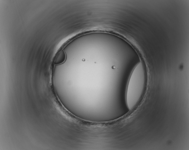 X0000116460838200912090925
