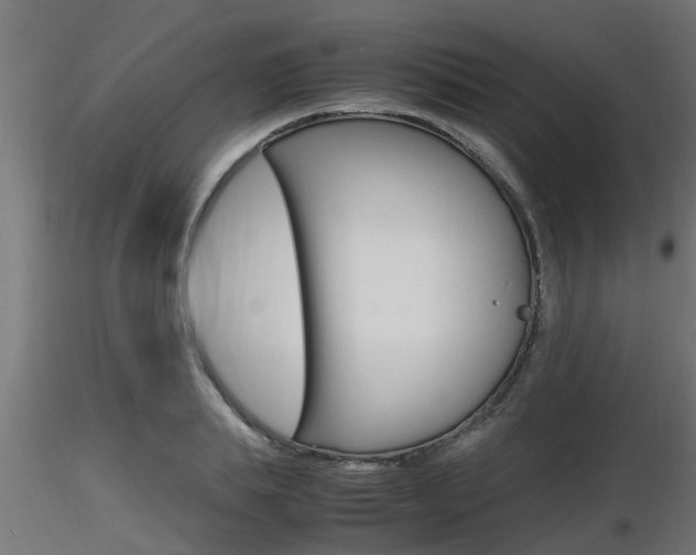 X0000116460839200912090925