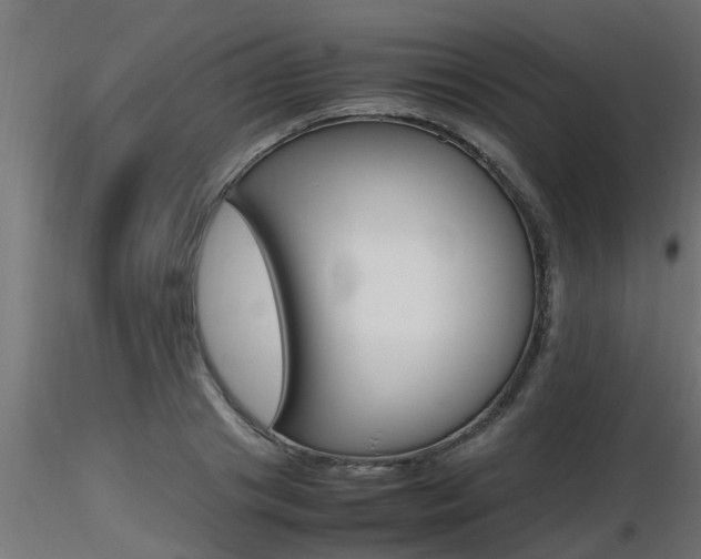 X0000116460841200912090925