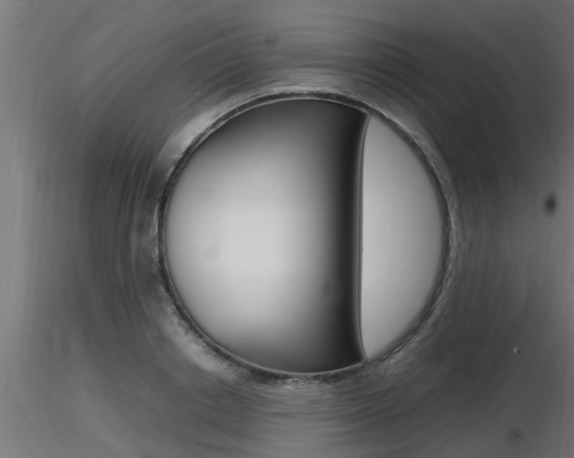 X0000116460842200912090925