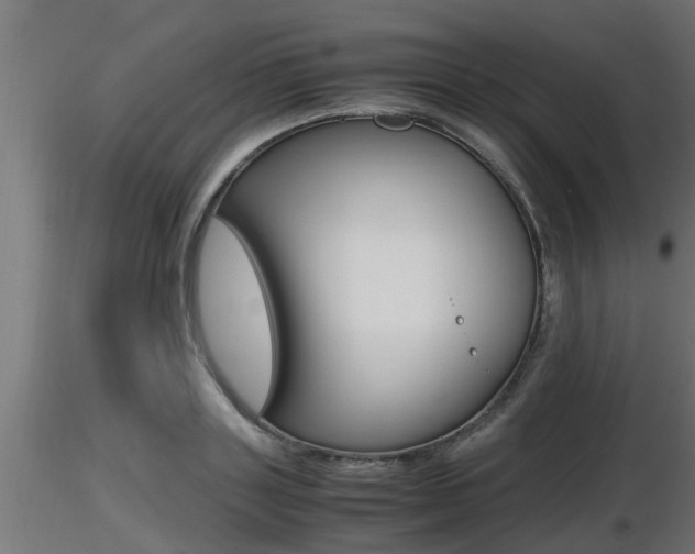 X0000116460843200912090925