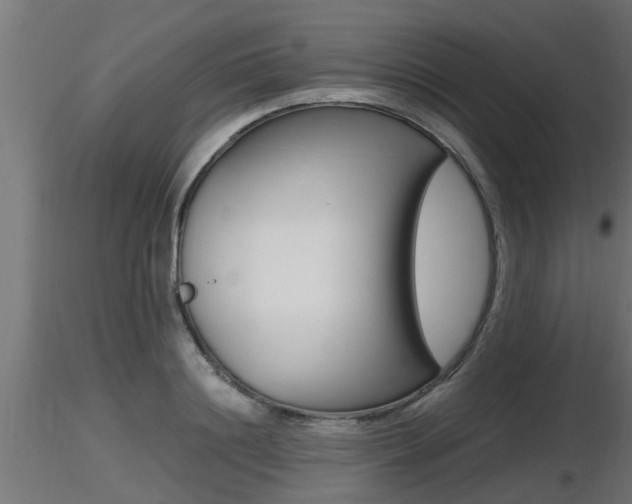 X0000116460844200912090925