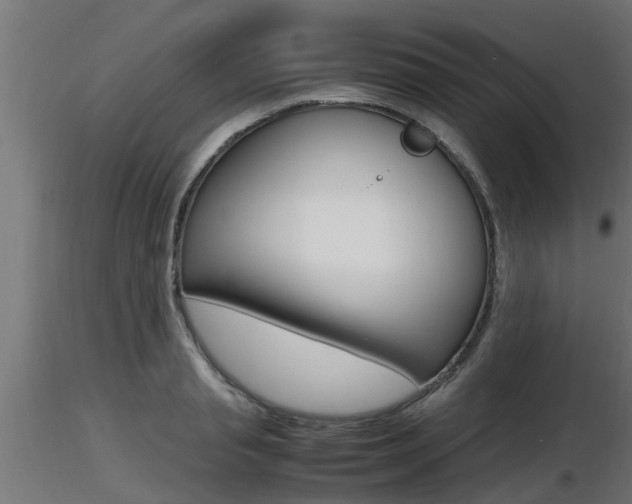 X0000116460845200912090925