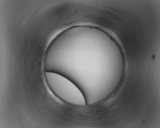 X0000116460847200912090925