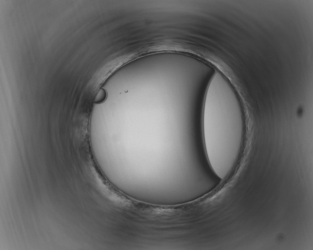 X0000116460849200912090925