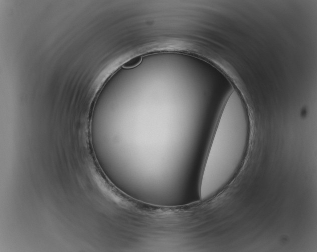 X0000116460850200912090925