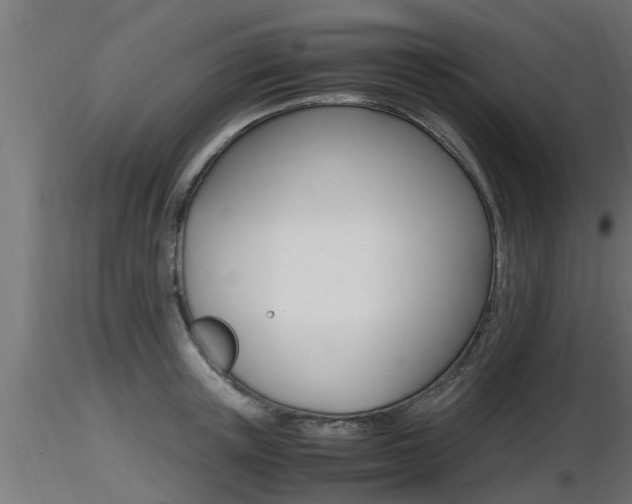 X0000116460851200912090925