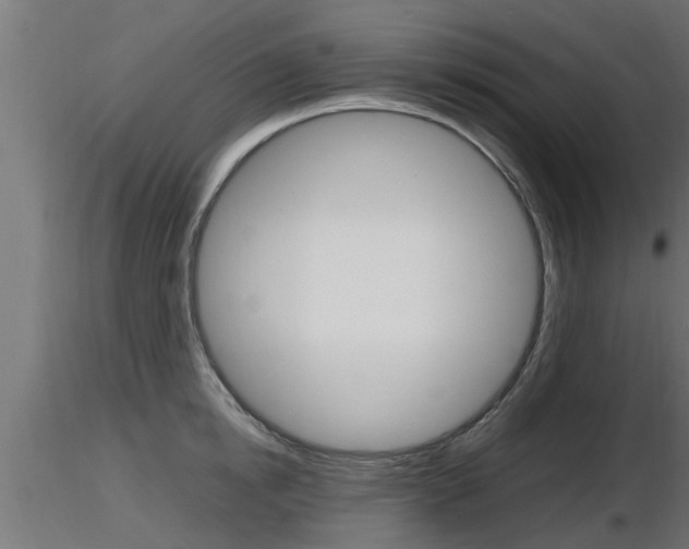 X0000116460854200912090925