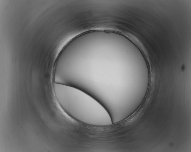 X0000116460855200912090925