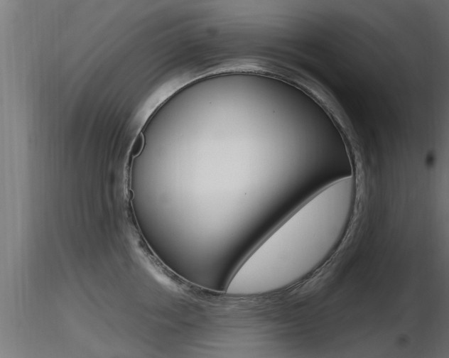 X0000116460858200912090925
