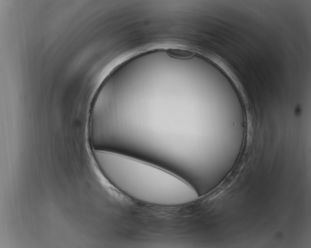 X0000116460861200912090925