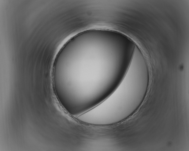 X0000116460864200912090925