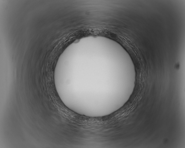 X0000116460865200912090925