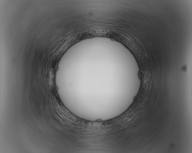 X0000116460866200912090925