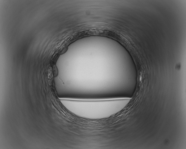 X0000116460867200912090925