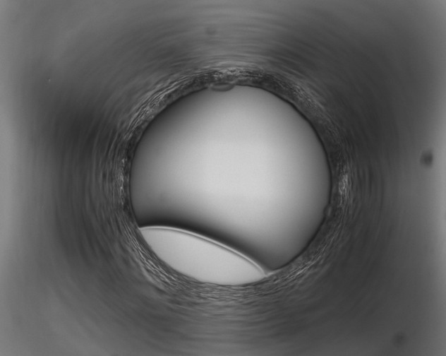 X0000116460868200912090925