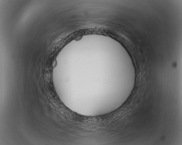 X0000116460869200912090925
