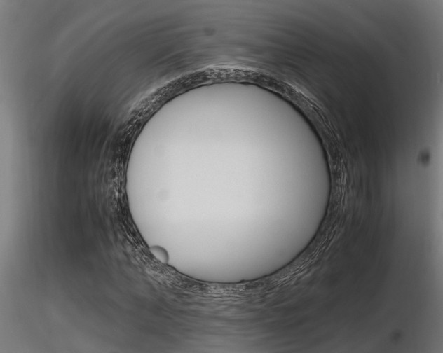 X0000116460870200912090925