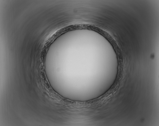 X0000116460871200912090925