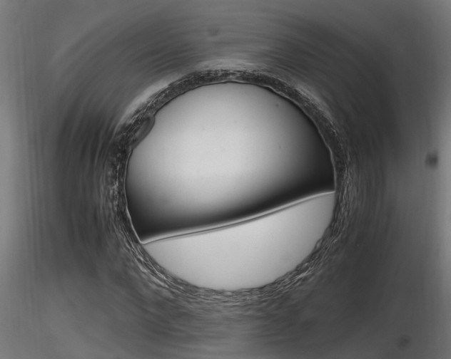 X0000116460872200912090925