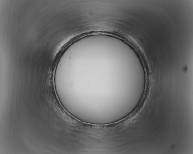 X0000116460875200912090925