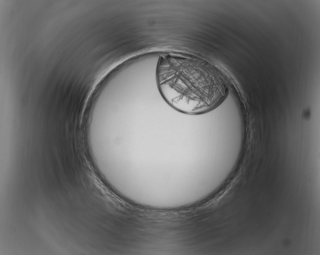 X0000116460876200912090925