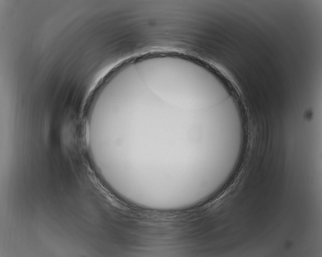 X0000116460878200912090925