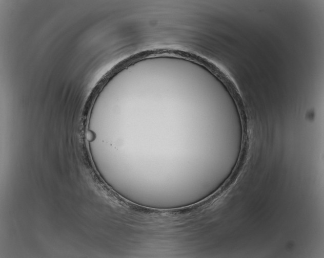 X0000116460879200912090925