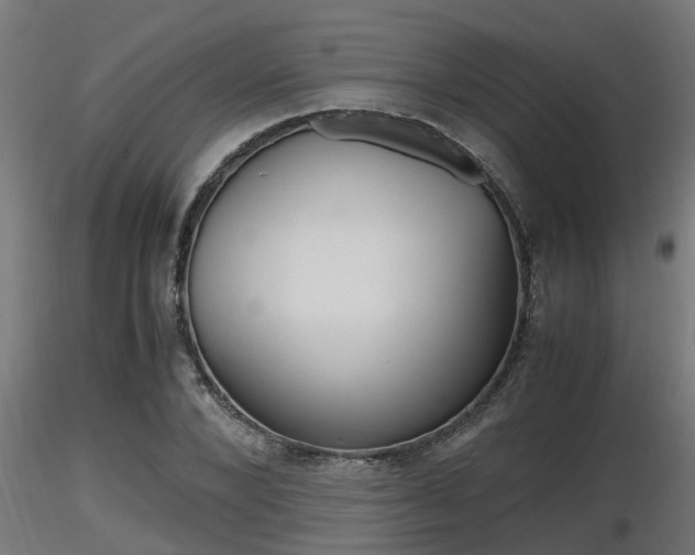 X0000116460880200912090925