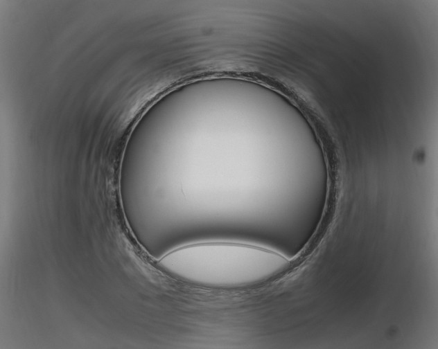 X0000116460881200912090925