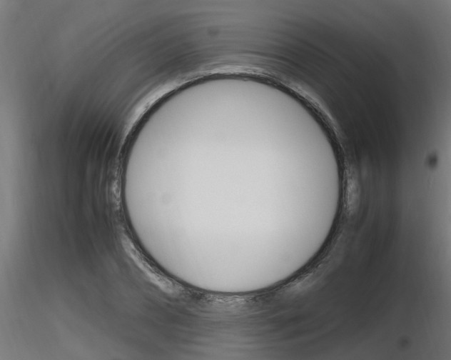 X0000116460882200912090925