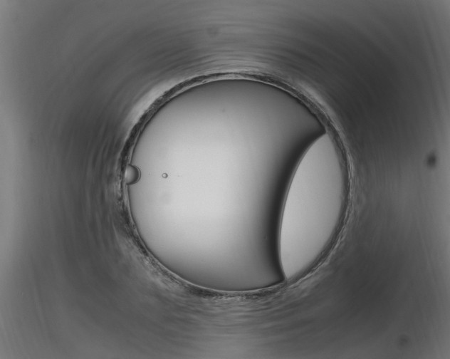 X0000116460883200912090925