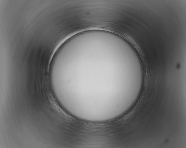 X0000116460884200912090925