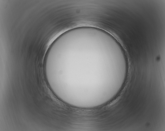 X0000116460885200912090925