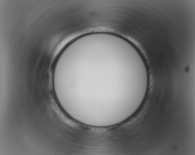 X0000116460886200912090925