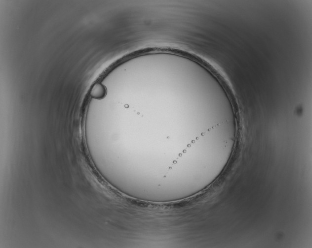 X0000116460887200912090925