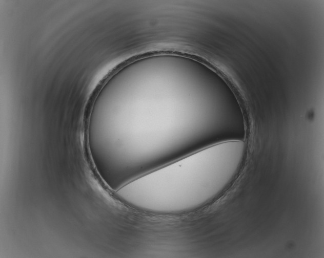 X0000116460888200912090925