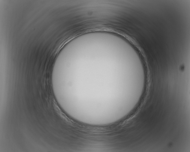 X0000116460889200912090924